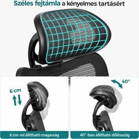Irodai szék, hálós szék, állítható deréktámasz és fejtámla, fekete