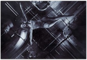 Poszterek 185x125 HardCore Design Photo Hc