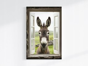 Vászonkép Canvas Kíváncsi Szamár Ablak Kilátás Állat Vendég Fal 80x120