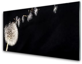 Akrilkép Dandelion Flower Plant 120x60 cm 2 fogas