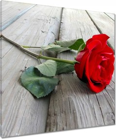 Vászonkép 80x80 Rózsa a deszkákon