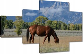 Vászonkép 130x80 Ló a prérin