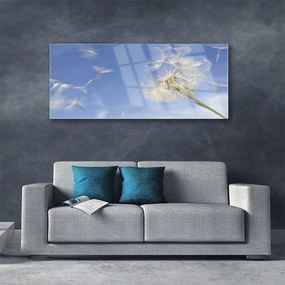 Akril üveg kép pitypang növény 100x50 cm