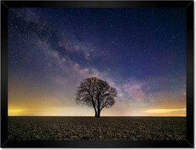 Poszterek keretben 40x30 Magányos fa és csillagok