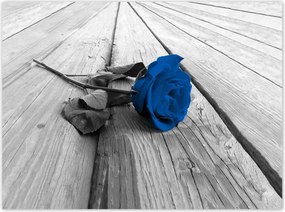 Poszterek 135x100 Kék rózsa a deszkákon