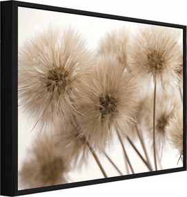 Vászonkép Fekete Keretben Pitypang Boho Nappali Hálószoba 120x80