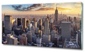 Üvegkép nyomtatás New york-i járat madár osh-126216157