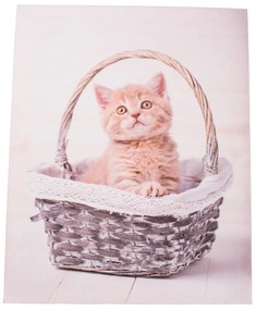 Kittie in basket vászonkép, 30 x 40 cm