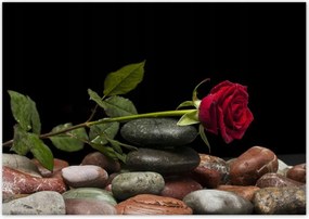 Poszterek 100x70 Spa Wellness Relaxáció Víz