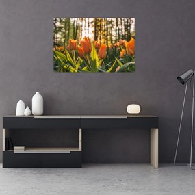 Narancssárga tulipán képe (90x60 cm)