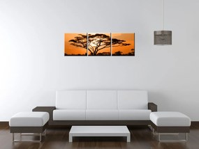 Gario Vászonkép Gyönyöru afrikai táj - 3 részes Méret: 90 x 30 cm