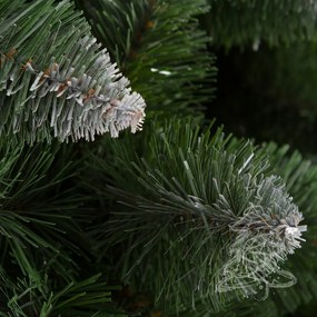 Karácsonyfa Fehér végű erdei fenyő 2D 250 cm