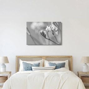 Kép - Virágzó virág (90x60 cm)