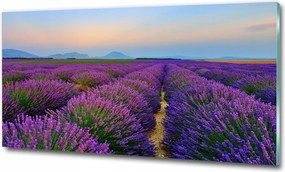 Fotó üvegkép Sólyomkő 125x50