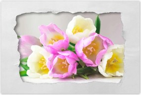 Poszterek 90x60 Finom tulipánok
