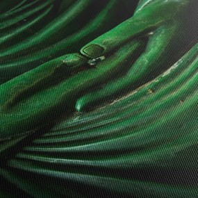 Kép - Buddha keze (120x50 cm)