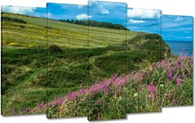 Vászonkép 100x60 Virágos rét a tengerparton