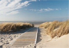 Flizelin tapéta Divatos 3D fali ragasztóval Tengeri ösvény 208x146 Ragasztó