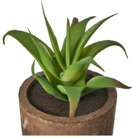Műnövény szett 4 db-os (magasság 10 cm) Cactus – Casa Selección