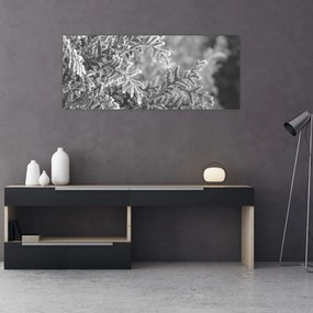 Kép - Lucfenyő erdő (120x50 cm)