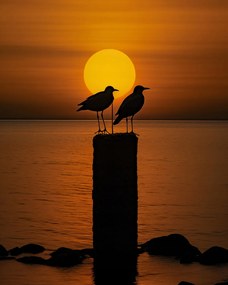 Poszter 40x50cm Beszélgetések alkonyatkor