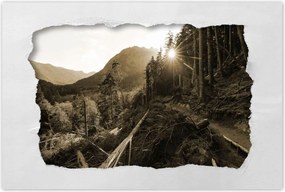 Poszterek 120x80 Szépia tájkép Szépia