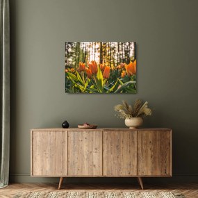 Kép - tulipánok (üvegen) (70x50 cm)