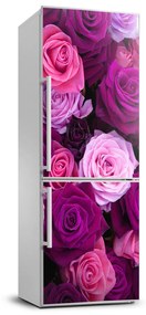 Hűtő matrica Rózsaszín rózsa FridgeStick-70x190-f-119226087