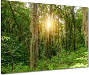 Vászonkép 80x60 Tájkép park