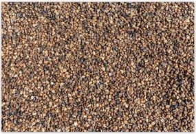 Poszterek 155x105 Kávé Kaffe