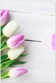 Poszterek 80x120 Finom tulipánok