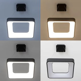 Brilagi - LED dimmelhető kábeles csillár FALCON II LED/80W/230V 40x40 cm fekete + távirányító