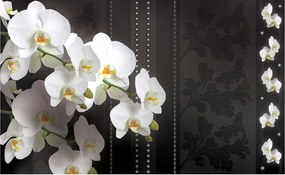 Flizelin fotótapéta Orchideák virág elegancia a nappaliba 300x210 +ragasztó