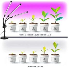 LED állítható asztali növénylámpa VITARO 3xLED/10W/230V fekete