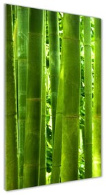 Egyedi üvegkép Bambusz osv-17587007