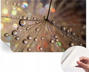 Öntapadós fotótapéta Nappaliba és Hálószobába Gyöngycseppek 416x254