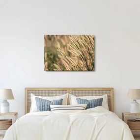 Kép - Gabona (70x50 cm)