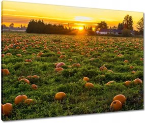 Vászonkép 80x60 Tájkép Látvány