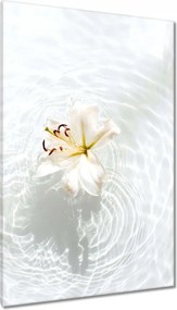 Vászonkép 80x120 Kwiatek a vízen Név