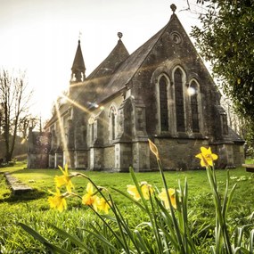 Poszter 20x20cm HĂșsvĂ©ti nĂĄrciszok, Assaf Frank