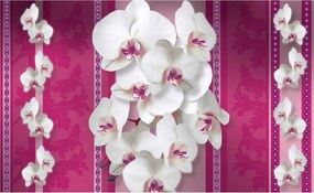 Orchidea tapéta fehér-rózsaszín elegancia virágok perspektíva 300x210 +ragasztó