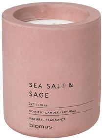 Illatos szójaviasz gyertya égési idő 55 ó Fraga: Sea Salt and Sage – Blomus