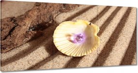 Vászonkép 180x90 Kagyló a tengerparton