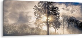 Fa a ködben képe (120x50 cm)