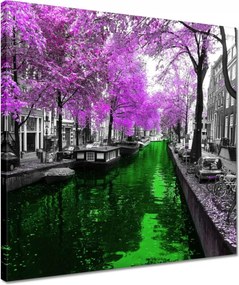 Festmények 40x40 Amszterdam