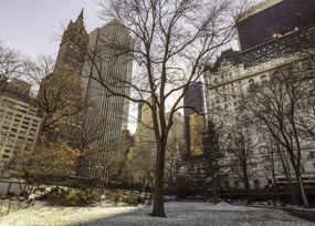 Poszter 70x50cm Központi park panorámával Alsó-Manhattan 2, Assaf Frank