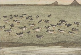 Flizelin fotótapéta Flizelin Design Madár nyugalom 104x70 Ragasztó