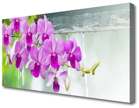 Vászonkép Orchideák Nature Csepp 100x50 cm