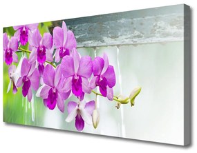 Vászonkép Orchideák Nature Csepp 125x50 cm