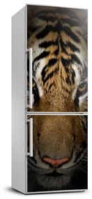 Hűtőre ragasztható matrica Tigris FridgeStick-70x190-f-69917271